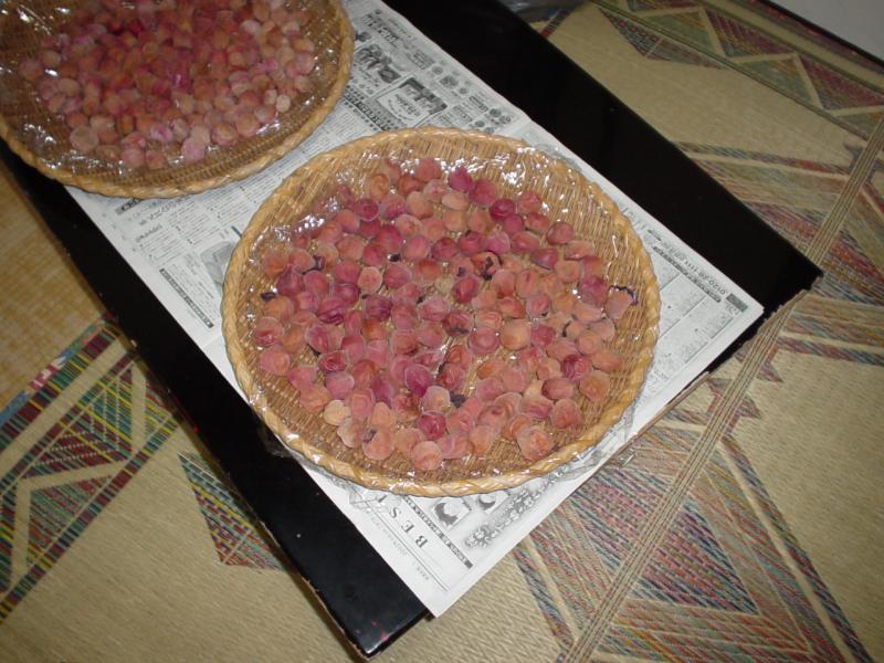 umeboshi_close_up