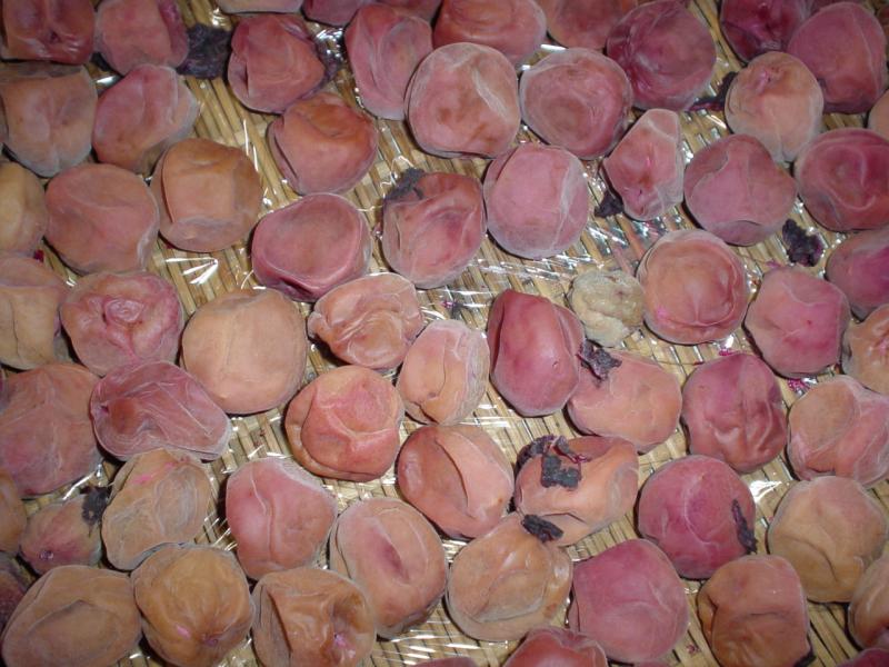 umeboshi_extreme_close_up