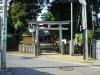 The local Shinto shrine in Suginami-ku.