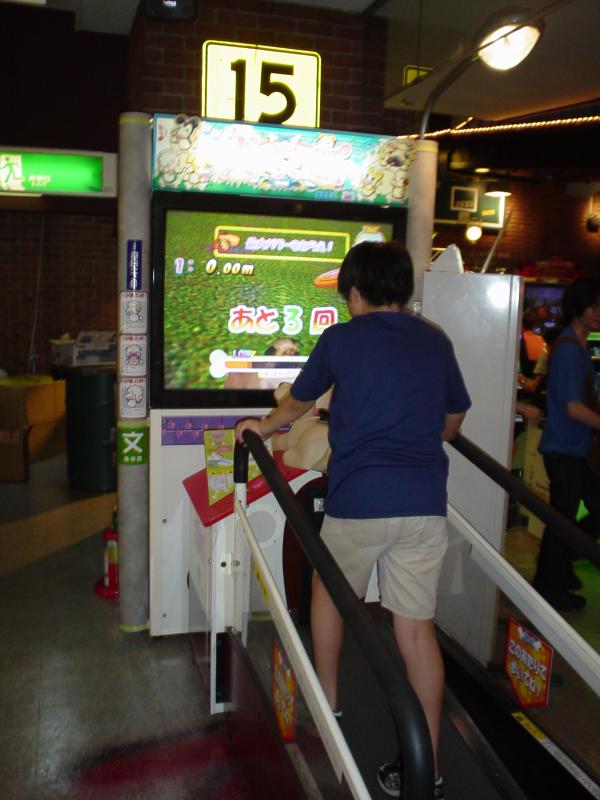 dog_walking_game