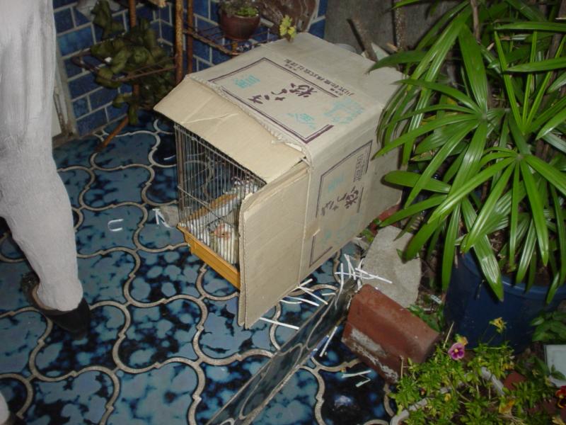 homestay_021